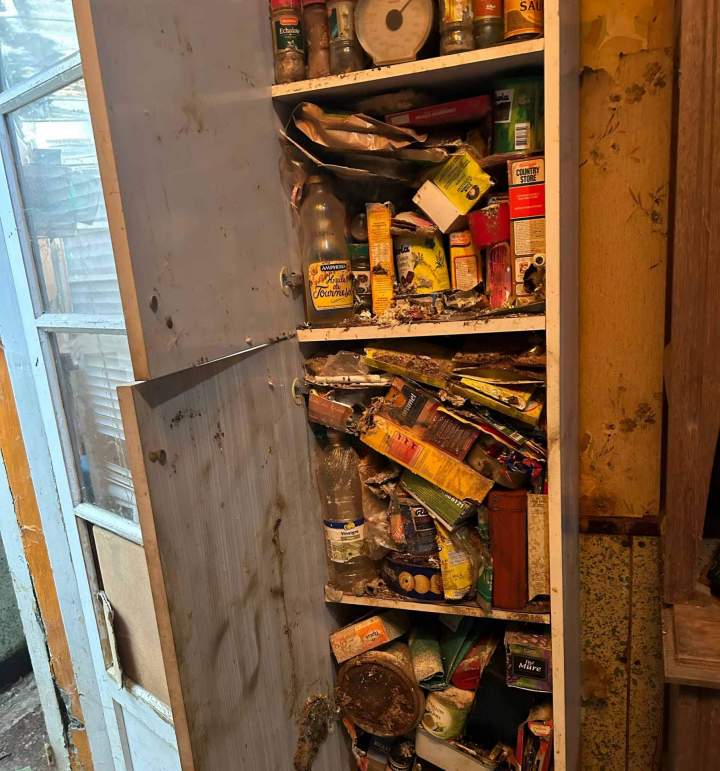 Pour un désencombrement et un nettoyage complet