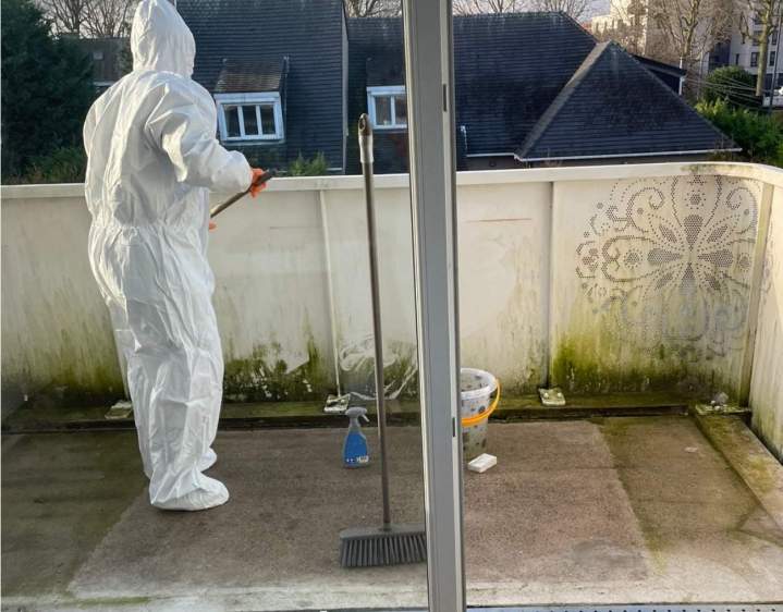 480590430 618526274258674 7987950353608625499 n